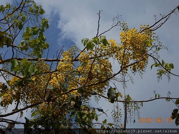 DSCN2216.JPG
