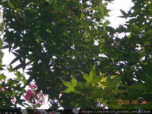 DSCN2302.JPG