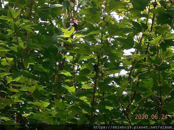 DSCN2296.JPG