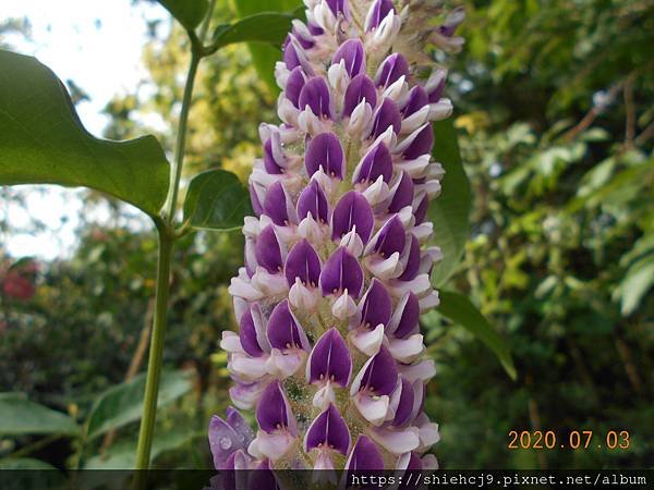 DSCN2456.JPG