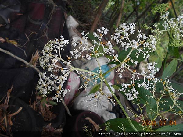 DSCN2478.JPG