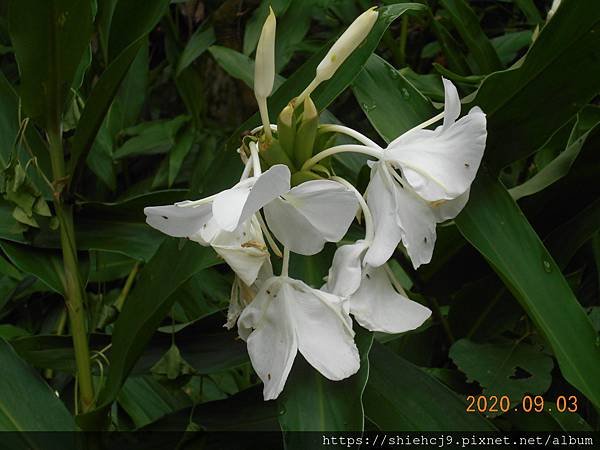 DSCN2989.JPG