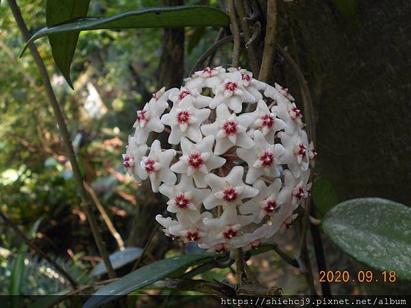 DSCN3059.JPG