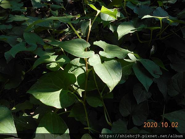 DSCN3124.JPG
