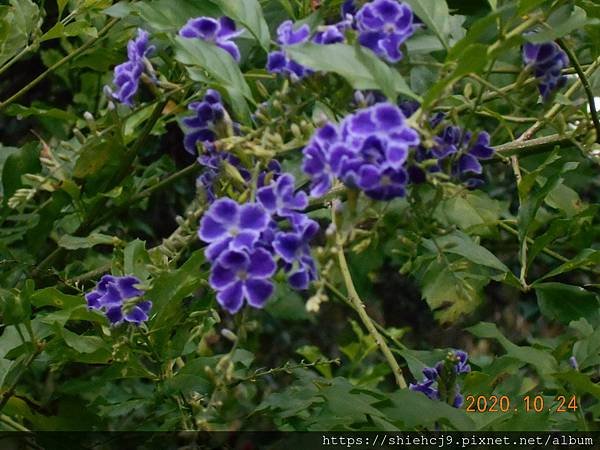 DSCN3344.JPG