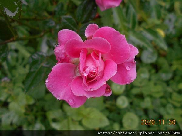 DSCN3653.JPG