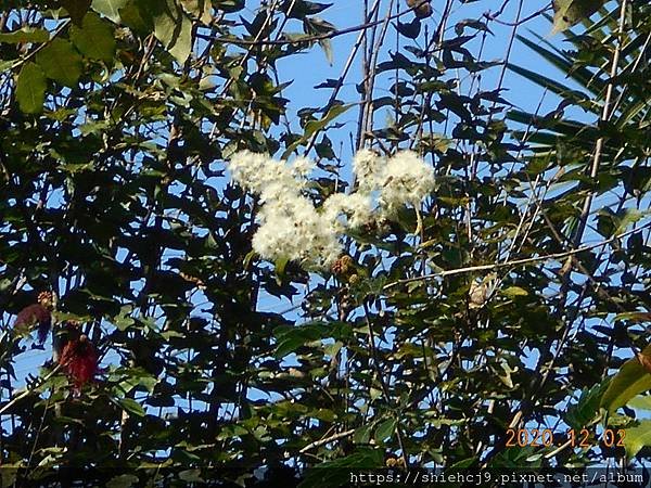 DSCN3680.JPG