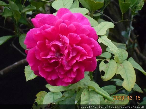 DSCN3780.JPG