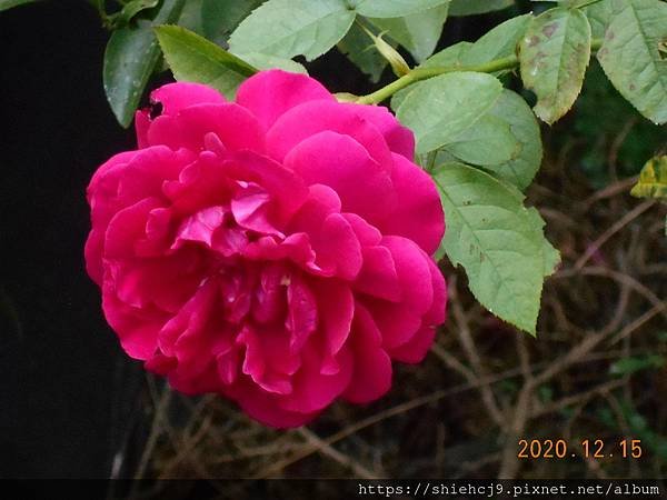 DSCN3781.JPG