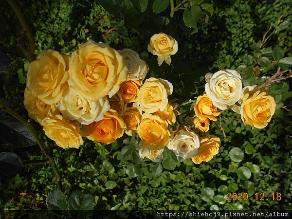 DSCN3952.JPG