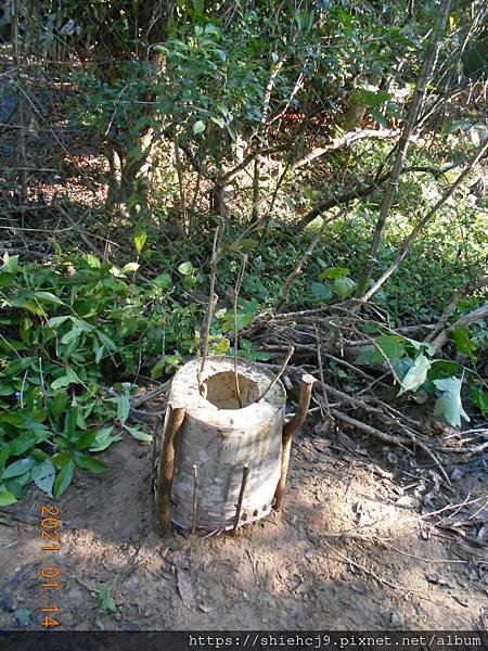 DSCN4271.JPG