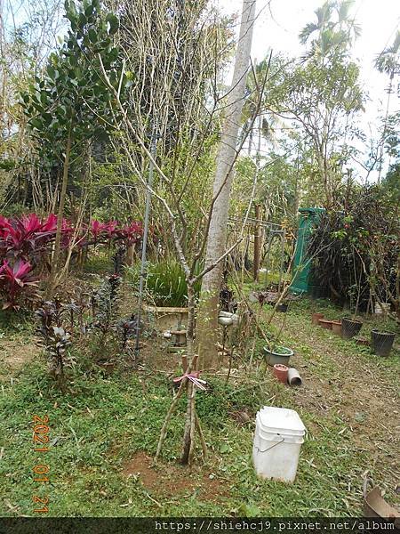 DSCN4316.JPG