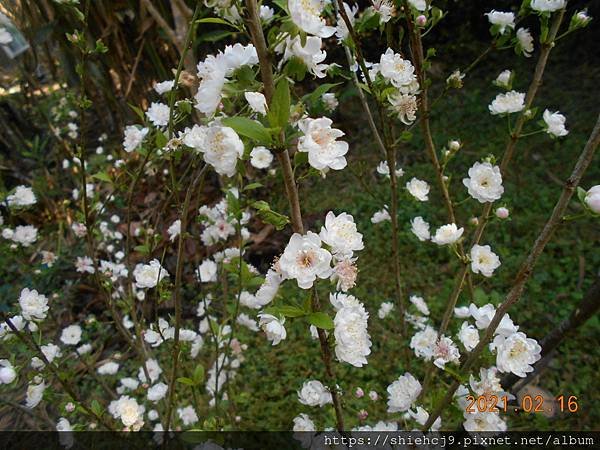 DSCN4728.JPG