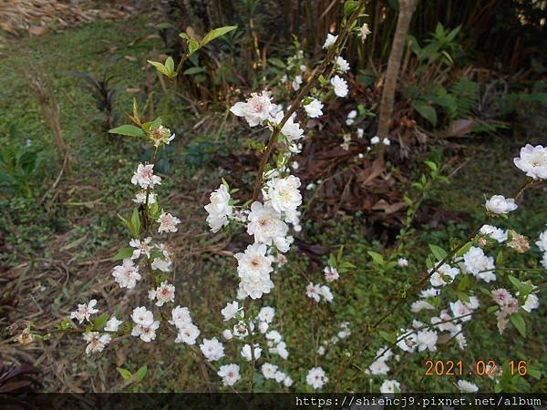 DSCN4730.JPG