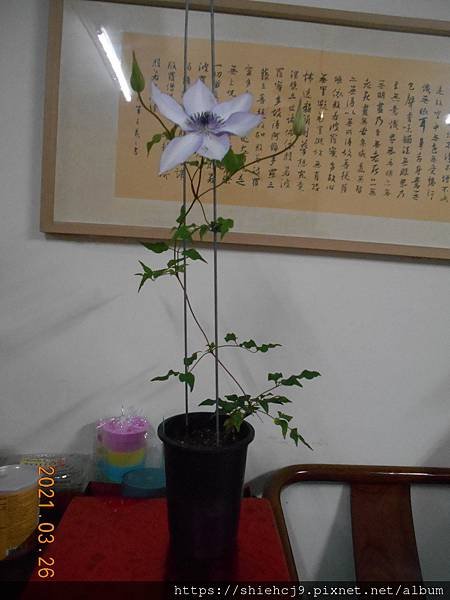 DSCN5126.JPG