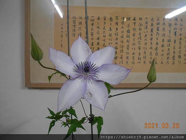 DSCN5125.JPG