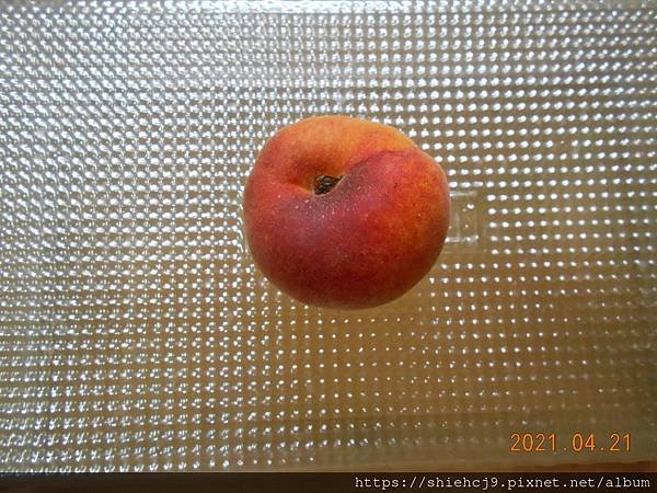 DSCN5454.JPG