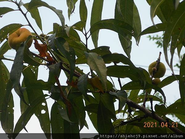 DSCN5451.JPG
