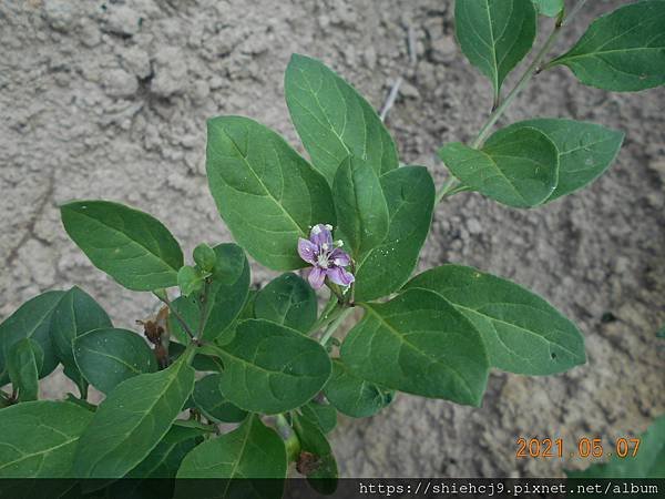 DSCN5665.JPG