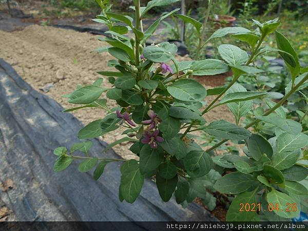 DSCN5552.JPG