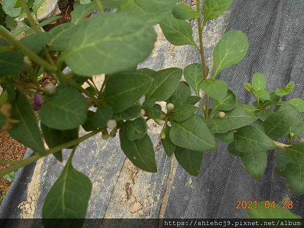 DSCN5554.JPG