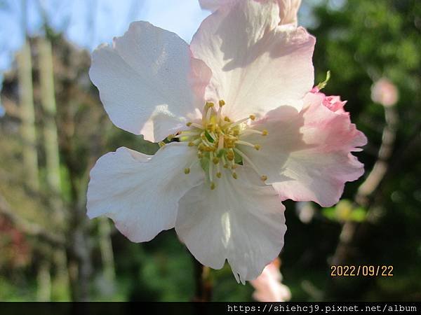 IMG_2663.JPG