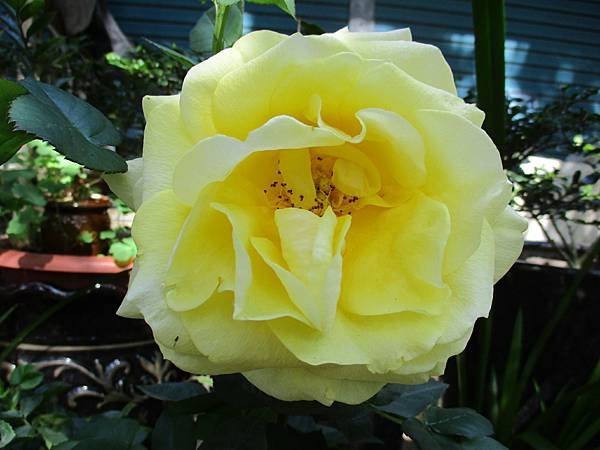 IMG_3677.JPG