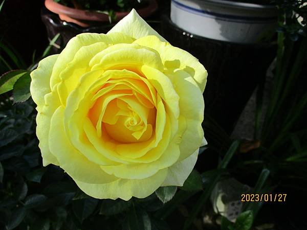 IMG_3632.JPG