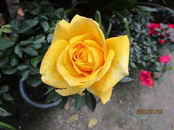 IMG_3581.JPG