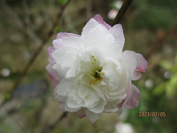 IMG_3696.JPG