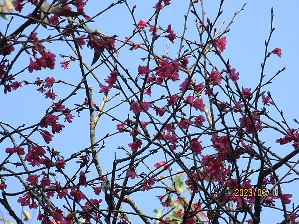 IMG_4280.JPG