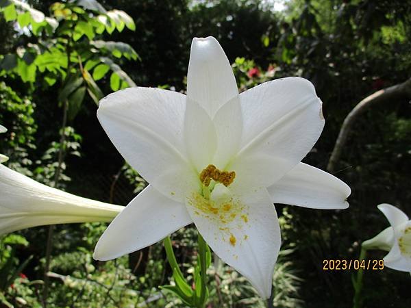 IMG_4883.JPG