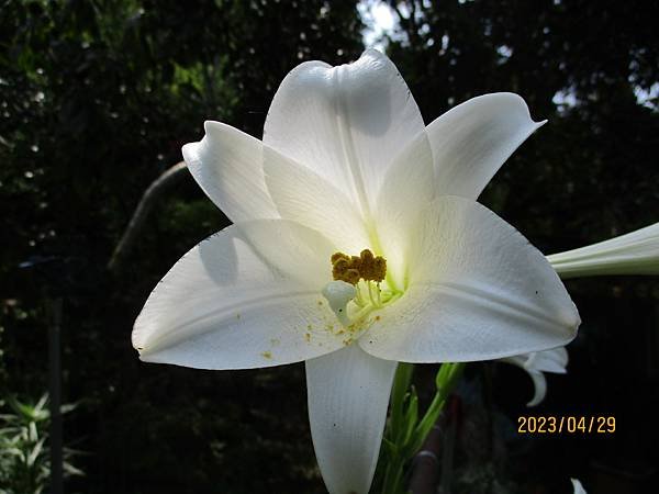 IMG_4884.JPG