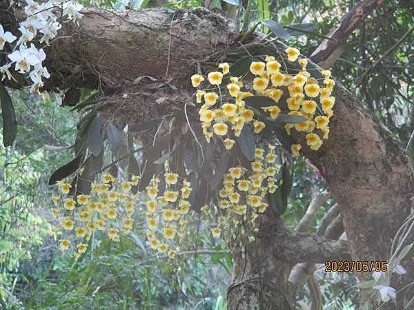 IMG_4944.JPG