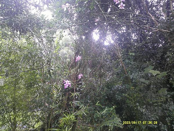 DSCF0001.JPG