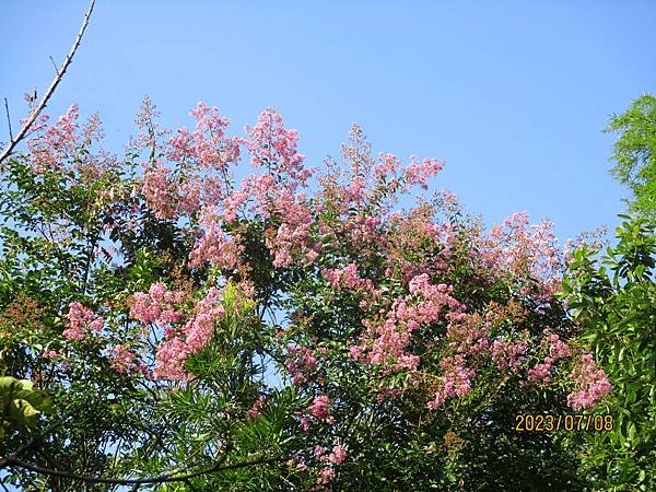 IMG_5353.JPG