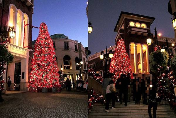 xmas tree.jpg