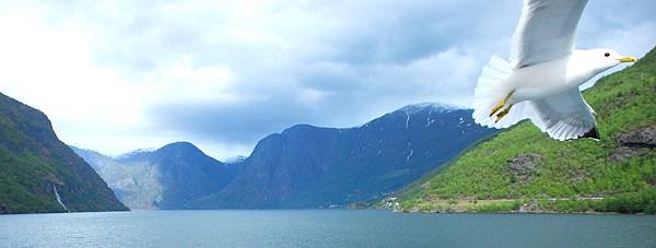 【旅行】2005-25052011 Norway(挪威之行)