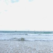 DSC_6771.JPG