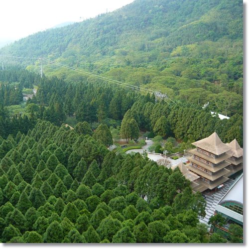 20110507南投238.jpg