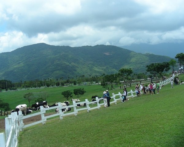 20090430-0503台東159.jpg