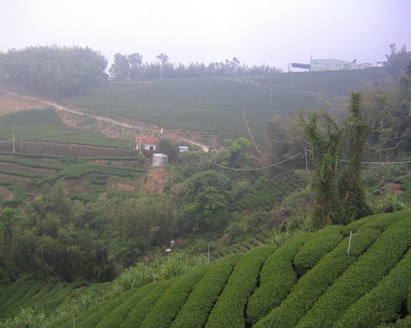 20070421-22天梯溪頭104.jpg