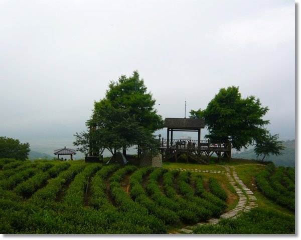 20110709-10宜蘭194.jpg