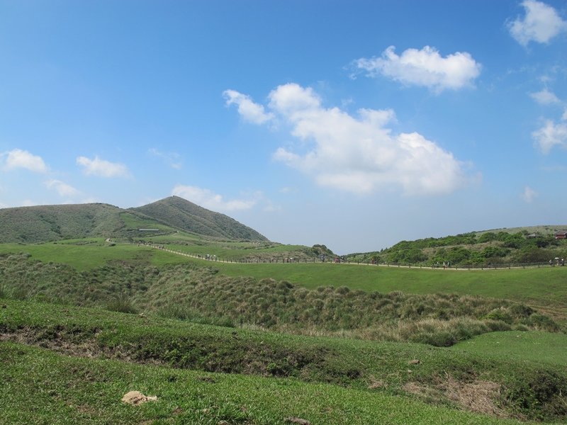 【陽明山】竹子湖、擎天崗、地熱谷