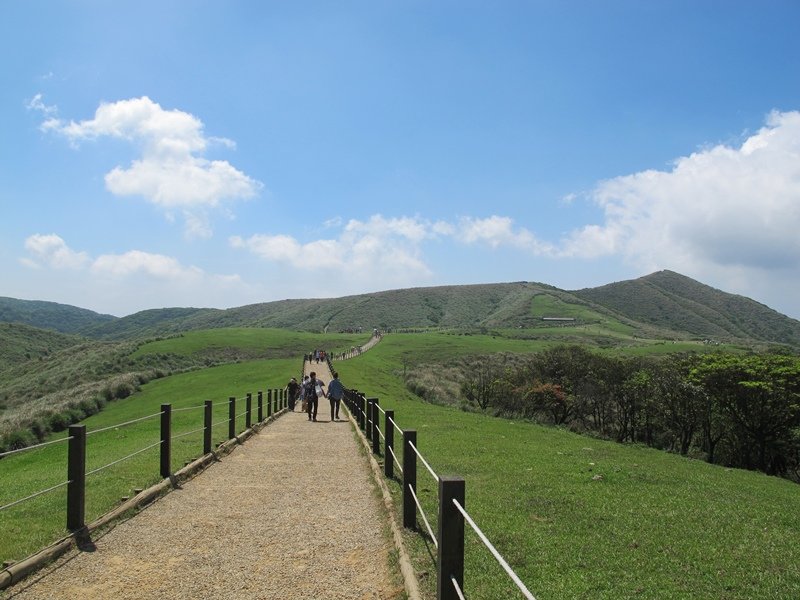 【陽明山】竹子湖、擎天崗、地熱谷