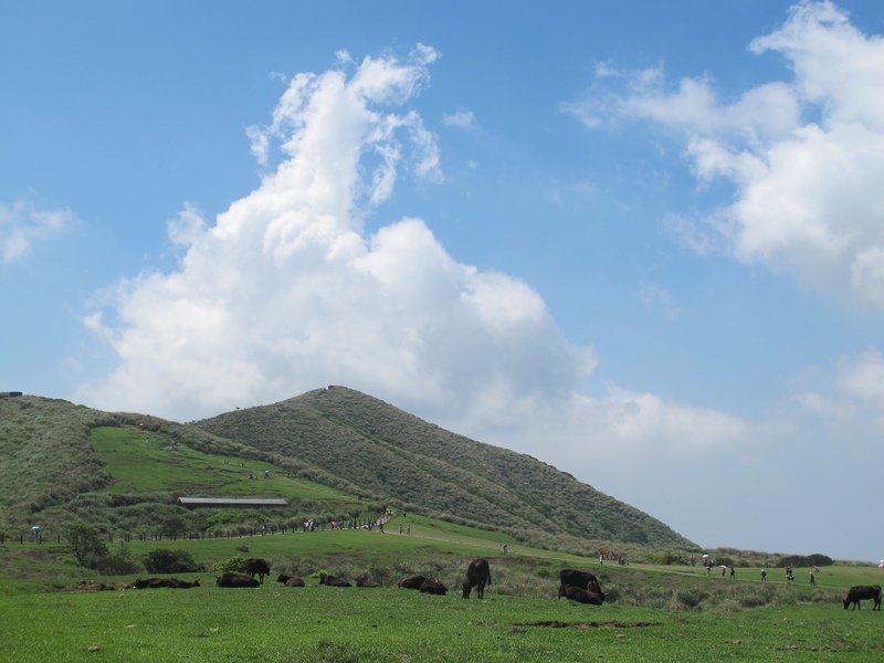 【陽明山】竹子湖、擎天崗、地熱谷