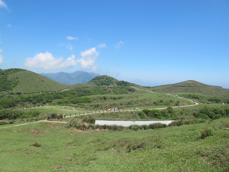 【陽明山】竹子湖、擎天崗、地熱谷