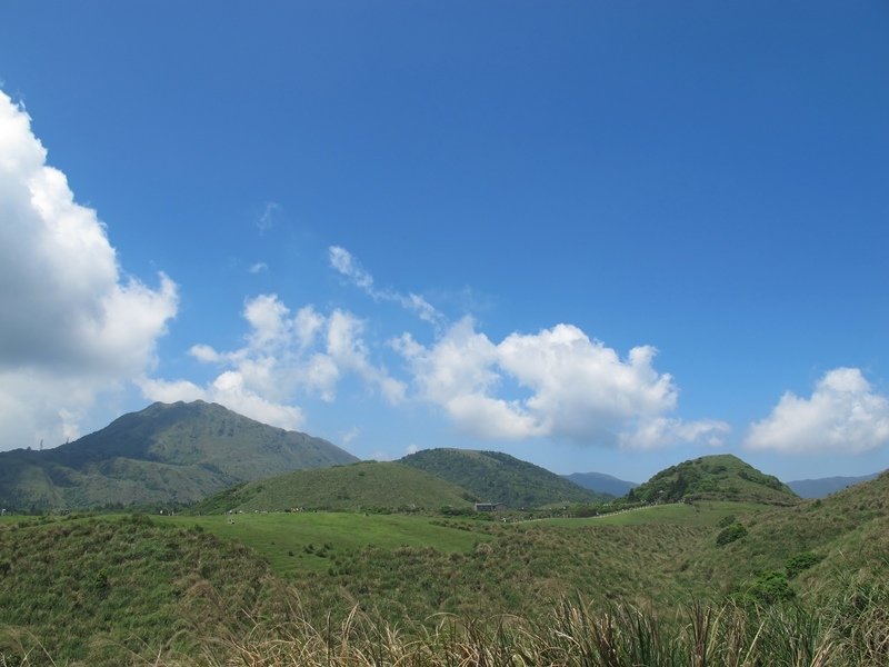 【陽明山】竹子湖、擎天崗、地熱谷