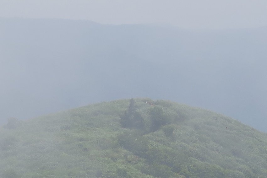 【新北】陽明山西段縱走-大屯主峰／南峰／西峰、向天山、面天山