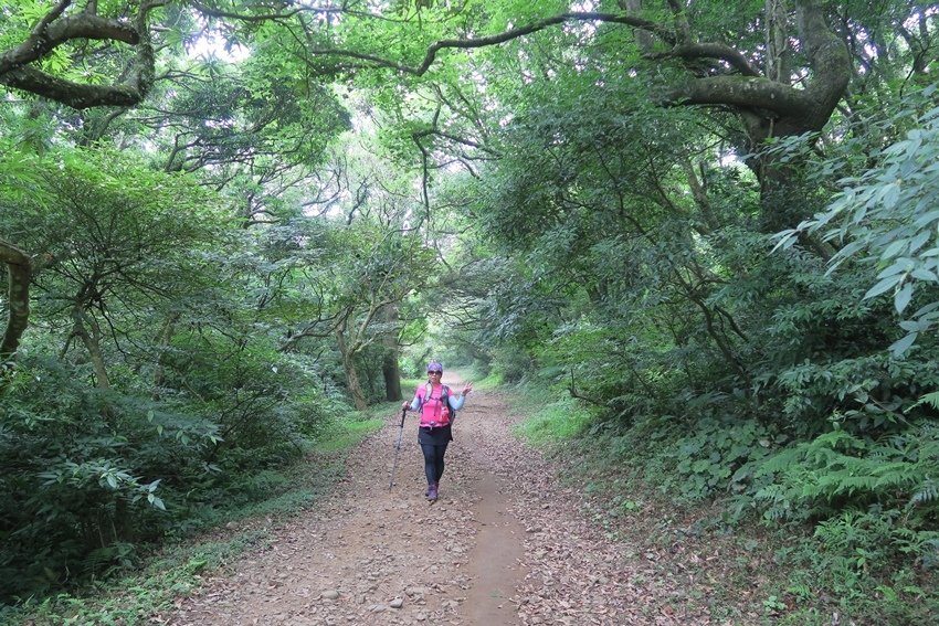 【新北】陽明山西段縱走-大屯主峰／南峰／西峰、向天山、面天山